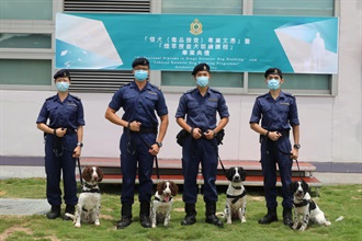 香港海關今日（七月十五日）公布，正式成立首支煙草搜查犬隊，以進一步加強海關從源頭堵截走私煙草流入香港的能力，提升打擊私煙的執法成效。圖示四名於今年七月完成「煙草搜查犬訓練課程」的海關搜查犬課人員與四隻煙草搜查犬合照。