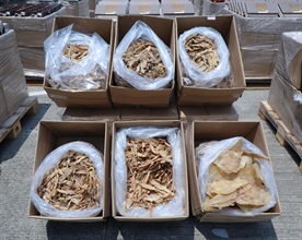 Hong Kong Customs on August 16 detected a suspected smuggling case involving a river trade vessel in the western waters of Hong Kong. A large batch of suspected smuggled goods with a total estimated market value of about $43 million was seized, including assorted electronic products, cosmetic products and high-value food. Photo shows some suspected smuggled dried fish maws seized.