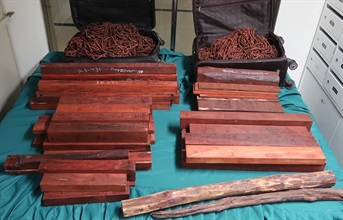 Hong Kong Customs on October 28 and 29 seized a total of about 150 kilograms of suspected scheduled red sandalwood, with an estimated market value of about $750,000, at Hong Kong International Airport and an upstairs shop. Photo shows the suspected scheduled red sandalwood seized.