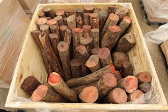 Hong Kong Customs on October 26 detected a suspected case of using an ocean-going vessel to smuggle goods to the Mainland at the Kwai Chung Container Terminals. A large batch of suspected smuggled goods, including expensive food ingredients, table wines, electronic goods, solid waste and scheduled endangered species, with a total estimated market value of about $300 million was seized. This is the largest sea smuggling case detected by Customs this year in terms of the seizure value. Photo shows some of the suspected smuggled scheduled wood logs of an endangered species seized.