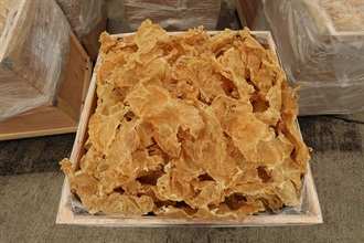 Hong Kong Customs on October 26 detected a suspected case of using an ocean-going vessel to smuggle goods to the Mainland at the Kwai Chung Container Terminals. A large batch of suspected smuggled goods, including expensive food ingredients, table wines, electronic goods, solid waste and scheduled endangered species, with a total estimated market value of about $300 million was seized. This is the largest sea smuggling case detected by Customs this year in terms of the seizure value. Photo shows some of the suspected smuggled dried fish maws seized.