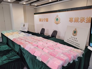 香港海關去年十二月二十二日在葵涌海關大樓驗貨場檢獲約三百公斤懷疑可卡因，估計市值約二億六千萬元。圖示檢獲的懷疑可卡因。