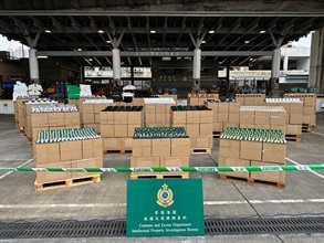 香港海關過去兩周（一月三日至十六日）採取代號「追跡者IV」的執法行動，打擊跨境轉運及本地冒牌貨物銷售活動，檢獲共約九萬件懷疑冒牌貨物，估計市值共約四千萬元。圖示部分檢獲的懷疑冒牌貨物。