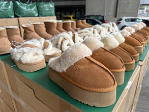 香港海關過去兩周（一月三日至十六日）採取代號「追跡者IV」的執法行動，打擊跨境轉運及本地冒牌貨物銷售活動，檢獲共約九萬件懷疑冒牌貨物，估計市值共約四千萬元。圖示部分檢獲的懷疑冒牌鞋履。