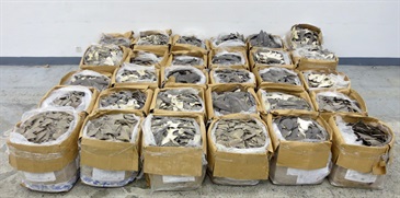 Hong Kong Customs yesterday (February 17) seized over 1.2 tonnes of suspected scheduled dried shark fins of endangered species with an estimated market value of about $40 million at Hong Kong International Airport. Photo shows the suspected scheduled dried shark fins seized.