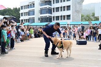 香港海關搜查犬隊今日（四月十五日）在香港海關學院開放日中表演。