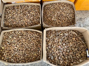 Hong Kong Customs yesterday (May 14) conducted an anti-smuggling operation and detected a suspected smuggling case using a fishing vessel and a speedboat in the waters off Hong Kong International Airport. A large batch of suspected smuggled goods, including electronic products, high-value food and cosmetics, with an estimated market value of about $50 million in total was seized. This is the largest smuggling case detected by Customs so far this year. Photo shows some of the suspected smuggled goods seized.