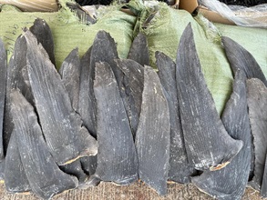 Hong Kong Customs yesterday (May 14) conducted an anti-smuggling operation and detected a suspected smuggling case using a fishing vessel and a speedboat in the waters off Hong Kong International Airport. A large batch of suspected smuggled goods, including electronic products, high-value food and cosmetics, with an estimated market value of about $50 million in total was seized. This is the largest smuggling case detected by Customs so far this year. Photo shows some of the suspected smuggled goods seized.