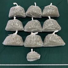 香港海關昨日（五月五日）在香港國際機場檢獲約三十一公斤懷疑大麻花，估計市值共約六百萬元。圖示海關人員檢獲的懷疑大麻花。