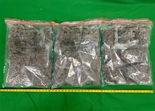 Hong Kong Customs detected two dangerous drugs cases in Yuen Long and Tuen Mun on June 16 and yesterday (June 20) respectively and seized about 32 kilograms of suspected ketamine and about 3.5kg of suspected cannabis buds. The total estimated market value was about $14.7 million. Photo shows the suspected cannabis buds seized by Customs officers in the second case.