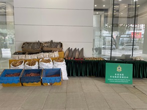 Hong Kong Customs yesterday (June 28) mounted an anti-smuggling operation at Yau Tong industrial area and detected a suspected speedboat smuggling case. A batch of suspected smuggled goods, including red coral, dried fish maws, bird nests, dried shark fins and used mobile phones, with an estimated market value of about $14 million was seized. Photo shows the suspected smuggled goods seized.