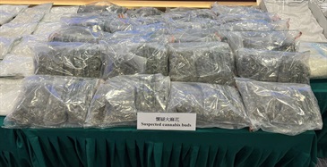 香港海關今年一至六月在香港國際機場重點打擊利用空運貨物和旅客渠道走私毒品的活動，共偵破六百零四宗毒品案件，並檢獲約二點三噸懷疑毒品，估計市值約九億七千萬元。圖示部分檢獲的懷疑大麻花。
