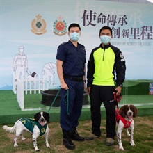 香港海關與消防處首次合作進行繁育犬隻計劃，於今年二月十二日（即農曆大年初一）成功繁殖六隻史賓格跳犬。父犬「阿積」為消防處的搜救犬，母犬「卡薩」為海關的緝毒犬。圖示「卡薩」（左一）和「阿積」（右一）與牠們的領犬員合照。