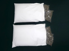 Hong Kong Customs seized about 1 kilogram of suspected cannabis buds with an estimated market value of about $270,000 at Hong Kong International Airport on April 12. Two adolescents involved in the case were arrested yesterday (April 13) and today (April 14). Photo shows the seized suspected cannabis buds concealed inside two pillows.