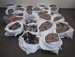 Hong Kong Customs yesterday (January 15) seized about 800 kilograms of suspected scheduled shark fins, with an estimated market value of about $4 million, at Hong Kong International Airport. Photo shows the suspected scheduled shark fins seized.
