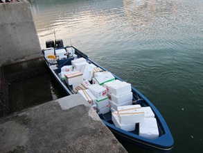 Seized high-powered speedboat and boxes of lobsters.