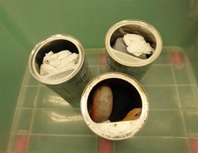 Hong Kong Customs yesterday (March 4) seized 42 suspected scheduled endangered live lizards with an estimated market value of about $210,000 at Hong Kong International Airport. Photo shows some of the seized suspected scheduled endangered live lizards, which were found concealed in milk powder cans.