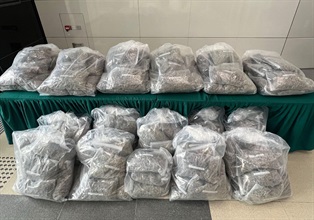 香港海关三月十二日在葵涌检获约一百三十八公斤怀疑大麻花，估计市值约三千五百万元。图示检获的怀疑大麻花。