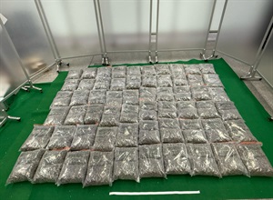 Hong Kong Customs yesterday (March 18) detected three drug trafficking cases, involving cargo channel and a passenger, at Hong Kong International Airport and seized a total of about 40 kilograms of suspected ketamine, about 152kg of suspected cannabis buds, and about 760 grams of suspected heroin, with a total estimated market value of about $58.4 million. Photo shows the suspected cannabis buds seized in the second case.