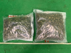 Hong Kong Customs on May 12 and yesterday (May 13) seized a total of about 21 kilograms of suspected ketamine and about 1.1kg of suspected cannabis buds with a total estimated market value of about $10.25 million at Hong Kong International Airport and in Sau Mau Ping. Photo shows the suspected cannabis buds seized.