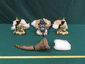 Hong Kong Customs on July 11 seized about 2.7 kilograms of suspected scheduled rhino horns, with an estimated market value of about $1 million, at Hong Kong International Airport. Photo shows the suspected scheduled endangered rhino horns seized and ceramic products which were mingled with the seizure.