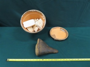 Hong Kong Customs on July 11 seized about 2.7 kilograms of suspected scheduled rhino horns, with an estimated market value of about $1 million, at Hong Kong International Airport. Photo shows the suspected scheduled endangered rhino horns seized and ceramic products which were mingled with the seizure.