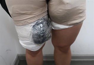 香港海关昨日（七月十五日）在深圳湾管制站侦破一宗旅客走私的案件，检获四只受管制属濒危物种的活龟，估计市值约四万元。图示该旅客将活龟缠绑于大腿。