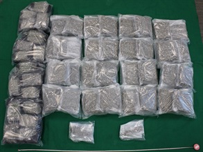 Hong Kong Customs yesterday (August 12) detected a dangerous drug trafficking case at the Hong Kong-Zhuhai-Macao Bridge Hong Kong Port. About 27 kilograms of suspected cannabis buds with an estimated market value of about $5.5 million were seized. Photo shows the suspected cannabis buds seized.