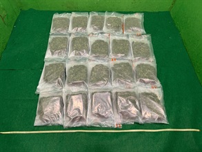 香港海关昨日（九月十一日）在香港国际机场侦破一宗涉及航空入境旅客的贩毒案件，检获约十公斤怀疑大麻花，估计市值约二百一十万元。图示检获的怀疑大麻花。