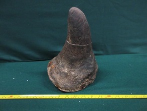 Hong Kong Customs on September 27 seized about 2 kilograms of suspected scheduled rhino horns, with an estimated market value of about $0.8 million, at Hong Kong International Airport. Photo shows the suspected scheduled endangered rhino horns seized.
