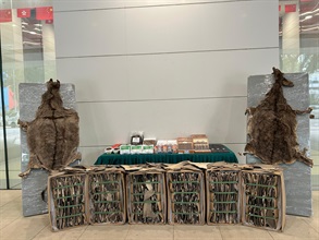 香港海关于十月三日和七日分别侦破两宗涉嫌利用内河船及远洋船走私的案件，并检获大批怀疑走私货物，估计市值共约二亿元。图示检获的怀疑走私货物。