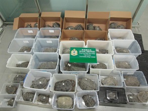 Hong Kong Customs detected a smuggling case on December 5 involving a cross-boundary private car at the Hong Kong-Zhuhai-Macao Bridge Hong Kong Port and seized 42 live turtles of suspected scheduled endangered species, with a total estimated value of about $420,000. Photo shows the live turtles of suspected scheduled endangered species seized.