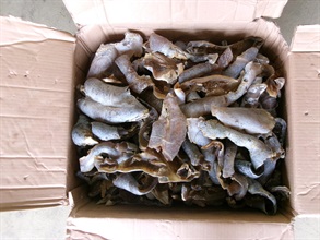 香港海關於十一月十九日和二十日分別偵破兩宗涉嫌利用內河船走私的案件，並檢獲大批懷疑走私貨物，估計市值共約七千五百萬元。圖示檢獲的懷疑走私貨物。