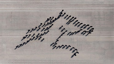 Hong Kong Customs Passing-out Parade was held today (February 6). Photo shows the parade forming the horse pattern.