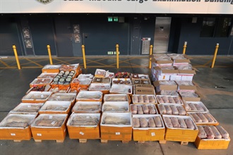 香港海關二月十一日偵破一宗懷疑走私食品案件，並檢獲約四千八百公斤懷疑走私食品，估計市值共約四十萬元。圖示檢獲的部分懷疑走私食品。