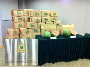 Photo shows the difference between the seized counterfeit watermelon and watermelon bearing genuine trademark.