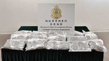 Hong Kong Customs yesterday (February 1) detected a mixed mode criminal case involving dangerous drugs and illicit cigarettes in Pat Heung. About 13 kilograms of suspected cannabis buds, about 170 grams of solutions containing suspected tetrahydro-cannabinol and about 660 000 suspected illicit cigarettes with an estimated market value of about $4.7 million and a duty potential of about $1.3 million were seized. This is a less common case in recent years in light of the large seizure amounts of suspected dangerous drugs and illicit cigarettes seized at the same time during the operation. Photo shows the suspected cannabis buds seized.