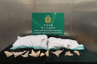 Hong Kong Customs yesterday (June 16) seized about 240 kilograms of suspected dried fins of scheduled guitarfishes, with an estimated market value of about $500,000. Photo shows some of the seized suspected dried fins of scheduled guitarfishes.