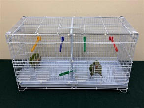 Hong Kong Customs yesterday (July 9) seized two illegally imported live birds of suspected scheduled endangered species, with an estimated market value of about $5,000, at the Lok Ma Chau Spur Line Control Point. Photo shows the live birds of suspected scheduled endangered species seized.