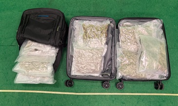 Hong Kong Customs today (July 31) detected a drug trafficking case at Hong Kong International Airport. About 3.9 kilograms of suspected cannabis buds with a total estimated market value of about $0.8 million were seized. Two men were arrested. Photo shows the suspected cannabis buds concealed in the suitcase.