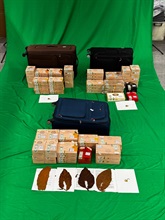 两名入境旅客因管有未完税烟草及未有向海关人员作出申报，违反《应课税品条例》，于昨日（八月十日）在西九龙裁判法院分别被判处监禁两个月和罚款一千元，以及监禁三个月和罚款一千元。图示检获的未完税雪茄和制成烟草。