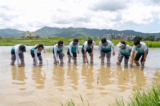 Hong Kong Customs organised the Hainan Aerospace Technology and Sustainable Development Exploration Tour for Customs YES from August 7 to 12. Photo shows Customs YES members visiting the Yazhou District National Modern Agriculture (Seed Industry) Industrial Park to participate in farming activities to learn about the national agricultural modernization and the development of Nanfan seed breeding.