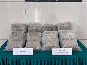 Hong Kong Customs detected a drug trafficking case involving baggage concealment at Hong Kong International Airport yesterday (August 13) and seized about 26 kilograms of suspected cannabis buds with a total estimated market value of about $5.3 million. Three men were arrested. Photo shows the suspected cannabis buds seized in the case.