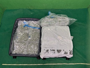 Hong Kong Customs yesterday (August 24) detected a drug trafficking case involving baggage concealment at Hong Kong International Airport. About 35 kilograms of suspected cannabis buds with an estimated market value of about $8.2 million were seized. Photo shows the suspected cannabis buds concealed in one of the suitcases.