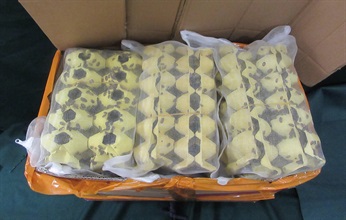 Hong Kong Customs on September 5 and yesterday (September 6) detected two suspected cases of illegally importing live plant pests at the Lo Wu Control Point, seizing 200 suspected illegally imported live crickets and 13 kilograms of suspected illegally imported live dubia roaches with a total estimated market value of about $5,900. Photo shows the suspected illegally imported live dubia roaches seized.
