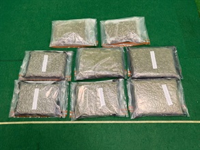 Hong Kong Customs yesterday (September 12) and today (September 13) detected two drug trafficking cases involving incoming air passengers at Hong Kong International Airport, and seized a total of about 9 kilograms of suspected cannabis buds, with a total estimated market value of about $1.8 million. Photo shows the suspected cannabis buds seized in the first case.