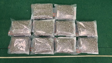 Hong Kong Customs yesterday (October 11) detected two drug trafficking cases involving incoming passengers at Hong Kong International Airport and seized about 9.8 kilograms of suspected cannabis buds, with an estimated market value of about $1.98 million. Photo shows the suspected cannabis buds seized in the second case.