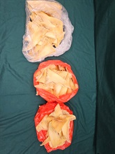 Hong Kong Customs yesterday (October 13) seized 18 kilograms of suspected scheduled dried shark fins of endangered species at the Lo Wu Control Point. Photo shows the seized dried shark fins.