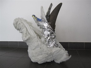 One of the seized rhino horns. The rhino horn was concealed within plastic scrap and other materials placed at the rear of the container.