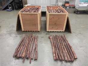 Hong Kong Customs today (January 21) seized about 3 378 kilograms of suspected scheduled red sandalwood, with an estimated market value of about $17 million, at Hong Kong International Airport. Photo shows the suspected scheduled red sandalwood seized.